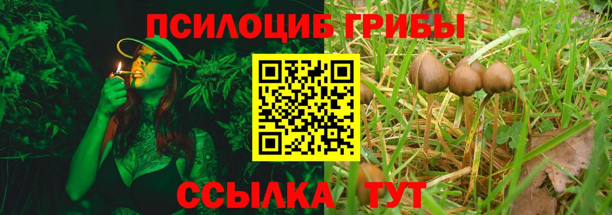 Галлюциногенные грибы мухоморы Обь